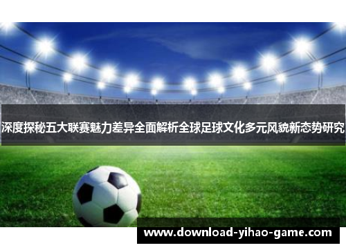 深度探秘五大联赛魅力差异全面解析全球足球文化多元风貌新态势研究